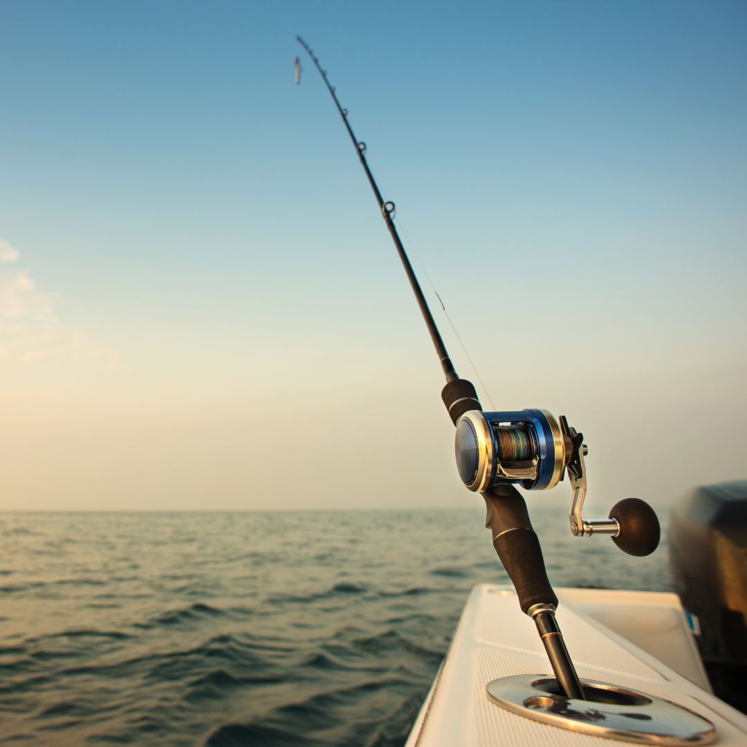 fishing pole in water